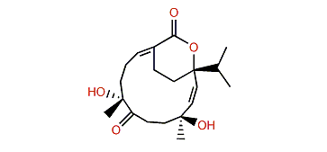 Sarelengan E